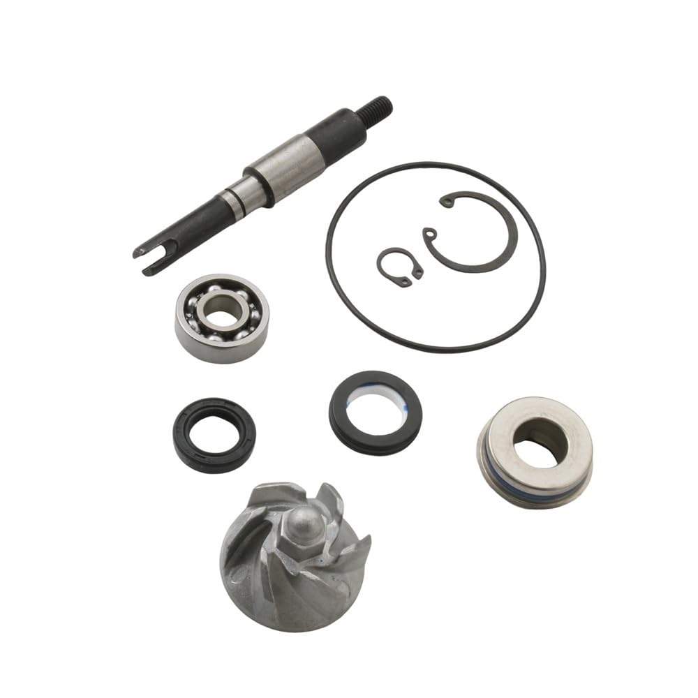Pompa Acqua Gruppo Pompa Per HONDA Chiocciola Dylan SES FES | 125i Pantheon NES SH Scoopy 100110190 KGFKit di riparazione pompa acqua