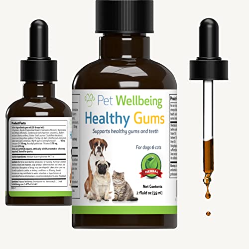 dog healthy gums, , Pet Wellbeing Healthy Gums for Dogs Natural