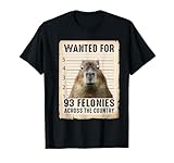 Capybara Gifts Wanted Across The Country