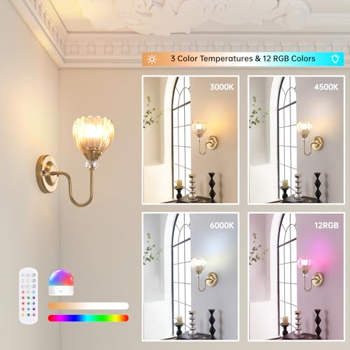 Image of Set of 2 Vintage Battery Operated Wall Sconce, Rechargeable Wall Lamp with 5000mAh Battery & Remote Control, Dimmable Wall Lights with tulip shade for Bedroom Bathroom Living Room, (Tulip Amber Up)