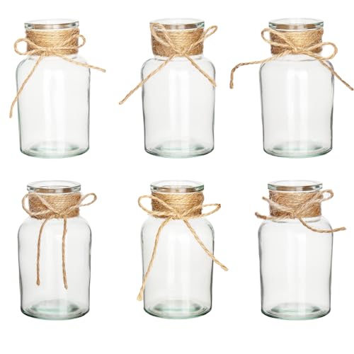 Kleine Vasen für Tischdeko, 6 Stück Mini Glasvasen, Vintage Vasen Set, ischvase Blumenväschen, Glasflaschen, Mini Dekoflaschen, Kleine Blumenvase für Hochzeit Tischdeko (Rund-A)