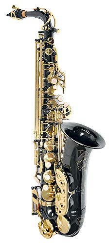 Amazon | サックス ブラック | サックス | 楽器・音響機器