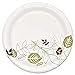 DXESXP6WS - Pathways Soak Proof Shield Heavyweight Paper Plates