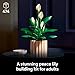 LEGO Botanicals Peace Lily Flower Building Set for Adults - Gifts for Mothers Day - DIY Bedroom, Book Shelf & Office Decor for Women & Men, Ages 18+ - Artificial Flowers Crafting Kit - 11504