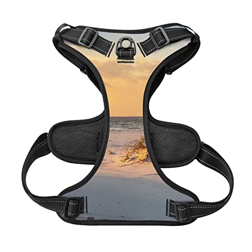 Harnais pour chien Sand Dunes premium réglable et confortable