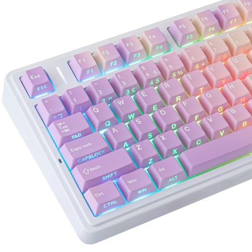 Keycaps Cherry MX UK layout PBT double shot transparent violet dégradé