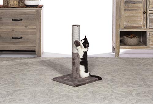Prevue Pet Products Kitty Power Paws Play & Scratch gris miniatura 3