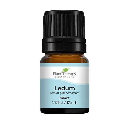 Plant Therapy Ledum Essential Oil 2.5 mL (1/12 oz) 100% Pure, Undiluted, Natural Aromatherapy, Therapeutic Grade