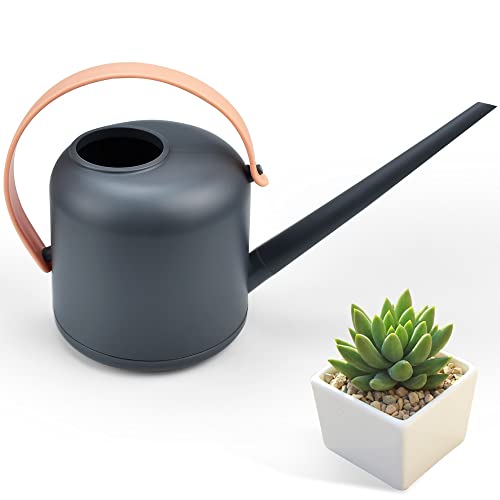 HERCHR Annaffiatoio In Acciaio Inox Da 1000ml Con Bocca Lunga, Ideale Per Bonsai E Piante Grasse Da Interno/Esterno