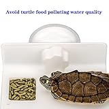 dancepandas B08PB4HVNW lato 4