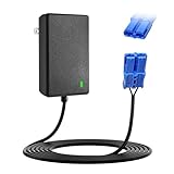12V Battery Charger with Blue Plug for Kid Trax Ride-On Toys Compatible with Scout Pony Disney Cars Dodge Ram Mickey Minnie Rideamales Scout Pony Josie Unicorn