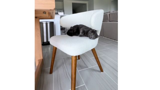 Amazon.com - HNY Mid Century Modern Sherpa Boucle Dining Chairs