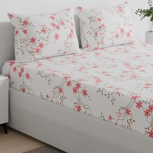 Image of Wakefit 100% Cotton 160 TC Flat Printed Bedsheet, Red Vine King Size (104x104 Inches) / (2.64m*2.64m) with 2 Pillow Covers Red Vine, King