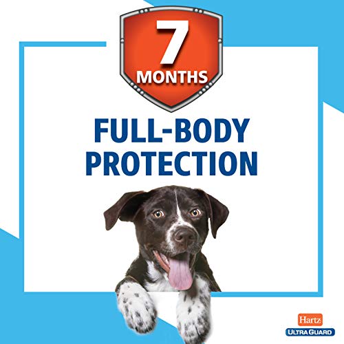 Hartz UltraGuard Flea & Tick Collar for Dogs and Puppies, 7 Month Flea and Tick Protection and Prevention Per Collar… - Image 5