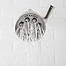 Speakman S-2251-BN Signature Icon Anystream High Pressure Adjustable Solid Brass Shower Head, Brushed Nickel