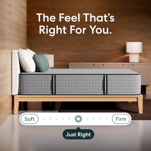 Image of Siena 14 inch Signature Hybrid Twin Mattress & 2 Bonus Pillows - Medium Firm - Memory Foam & Innerspring System - 180-Night Trial - Pressure-Relief - Mattress in a Box