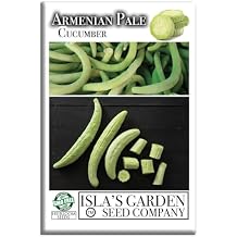 Armenian Pale Green Cucumber Seeds Cucumis sativus 100+ Non-GMO & Heirloom Seeds for Planting, Long Crisp Light-Green Cucumbers for Fresh Eating & Salads, by Islas Garden Seeds, Gift Idea