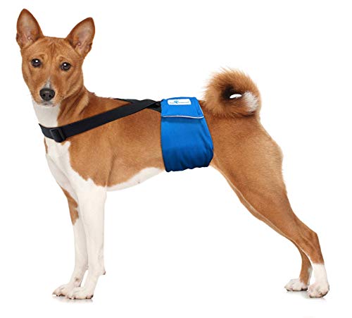 Image of Paw Inspired Dog Diaper Suspenders with Velcro Fasteners | Stretchy Adjustable Suspenders for Female and Male Disposable and Washable Diapers | Fits Small, Medium and Large Size Pets (M /L, Black)