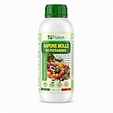 FITOKEM - Sapone Molle Potassico per Piante (1 Litro) Sapone Molle di Potassio per Piante, Insetticida ad Azione Abbattente contro Afidi, Cocciniglia, Effetto Corroborante Naturale e Lava Melata