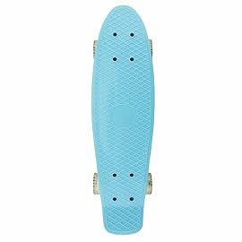 Skateboard Light Blue Complete Youth 22 inch Mini Cruiser Skateboards for Kids Boys Girls Beginners Child Toddler Teenagers Dog Age 5 to 8 (Light Blue)
