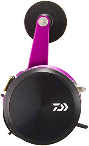 ダイワ(DAIWA) ベイトリール(タチウオジギング) 17 鏡牙 100SH (2017モデル) 2枚目