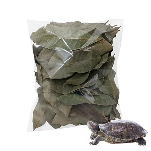 Litière pour reptiles – Fournitures naturelles sèches pour animaux domestiques, litières de feuilles d'aquarium pour geckos, grenouilles, serpents, crevettes, tortues, lézards, petits animaux