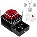 Rose Eternelle Préservée Vraie Rose Faite à la Main avec Bijoux Elégants, Cadeau Enchanté pour La Saint Valentin Anniversaire Mariage pour Femme Maman