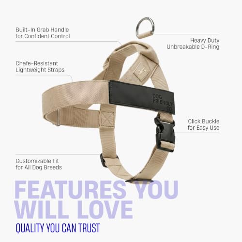 Image of Dog Friendly Co. Dog Harness for Small Dogs (Brown, Small)