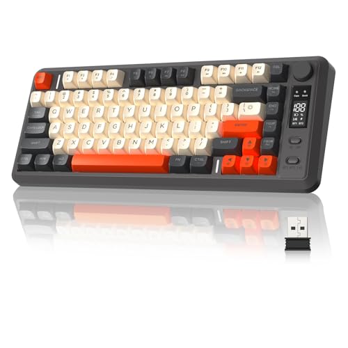 ZIYOU LANG M75 Wireless Gaming Keyboard, RGB Backlit...