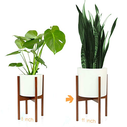 Fox & Fern Mid-Century Modern Plant Stand - Cherry - EXCLUDING 11