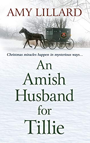 An Amish Husband for Tillie (Thorndike Press Large Print Christian Fiction: Amish of Pontotoc)