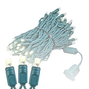 Novelty Lights 100 Light LED Christmas Mini Light Set, Outdoor Lighting Party Patio String Lights, Warm White, Green Wire, 34 Feet