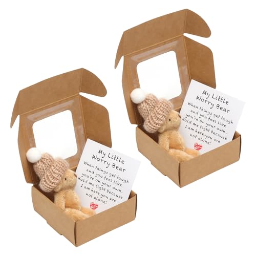 KQDRAVINE Ourson de Poche, Mini Ours dans Une boîte avec Une Carte inspirante, décoration, Cadeaux positifs pour Petite Amie, collègues Femmes fête de...