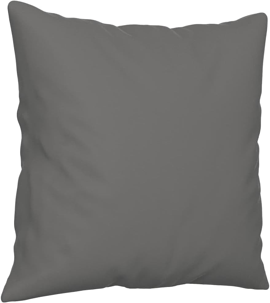 2-Seater Sofa Dark Grey Living Room Furniture