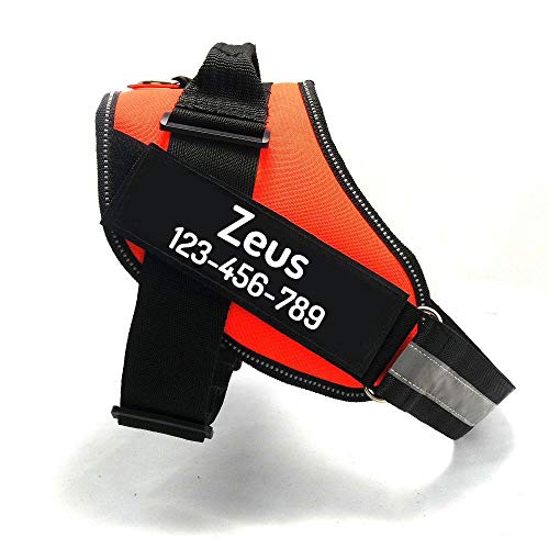 PawPawify Custom No Pull Dog Harness with Name and Phone Number, Heavy Duty Personalized Pet Vest to Prevent Tugging, Pulling, or Choking, Training and Walking (Orange, XS (5-9LBS))
