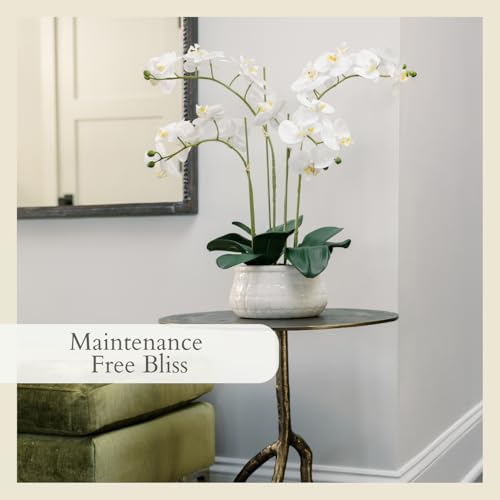 Image of CG Hunter, Faux White Orchid Plant, 23 in, White, Home Decor