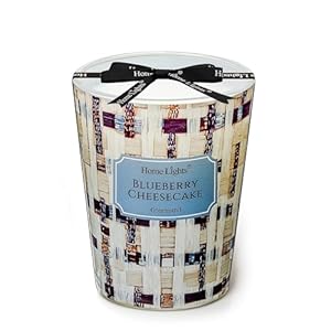 HomeLights Scented Candles for Women & Men, 6.7oz Candle Jars Aromatherapy Single Wick Candle, Ideal for Rustic Modern Home Decor and Gifts, Blueberry Cheesecake