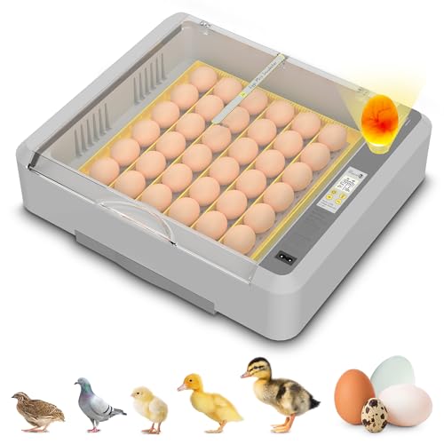 36-60 Egg Incubator with Automatic Egg Turning and Humidity Control, Adjustable Chicken Egg...
