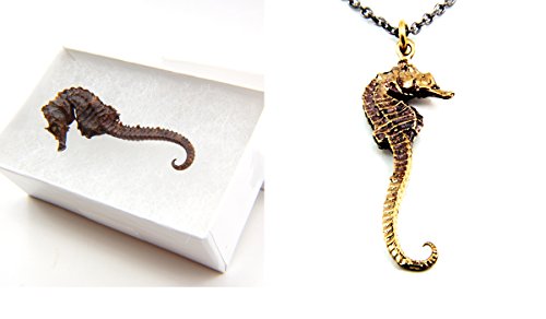 Seahorse Necklace - Bronze - Cast 
