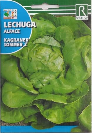 Semillas hortícolas - lechuga Kagraner Sommer 2 6gr - Rocalba