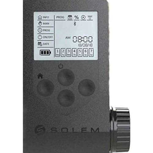 SOLEM Programmeur Woo-Bee 1 Station