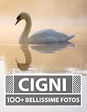  Cigni - Libro Fotografico - Grande Collezione Incredibile: 100 Fantastiche Immagini - Per Bambini E Adulti