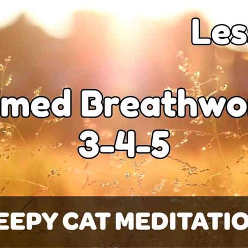 Lesson 3_ Patterned Breathing 3-4-5 Technique (Beginner Breathwork Course)(MP3_160K)