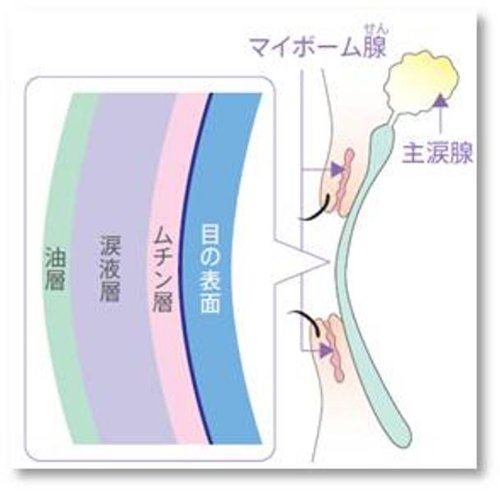 オキュソフト リッドハイジーン専用コットン 潤い保湿成分配合 詰替用