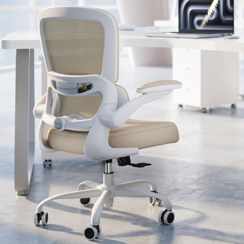 Image of TRALT Office Chair - Ergonomic Desk Chair with Adjustable Lumbar Support, Mesh Computer Chair, Executive Chair for Home Office Comfortable Lumbar Support (1, Greige)