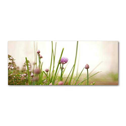 Fond de hotte verre de sécurité trempé Tulup 125x50 cm splashback vert