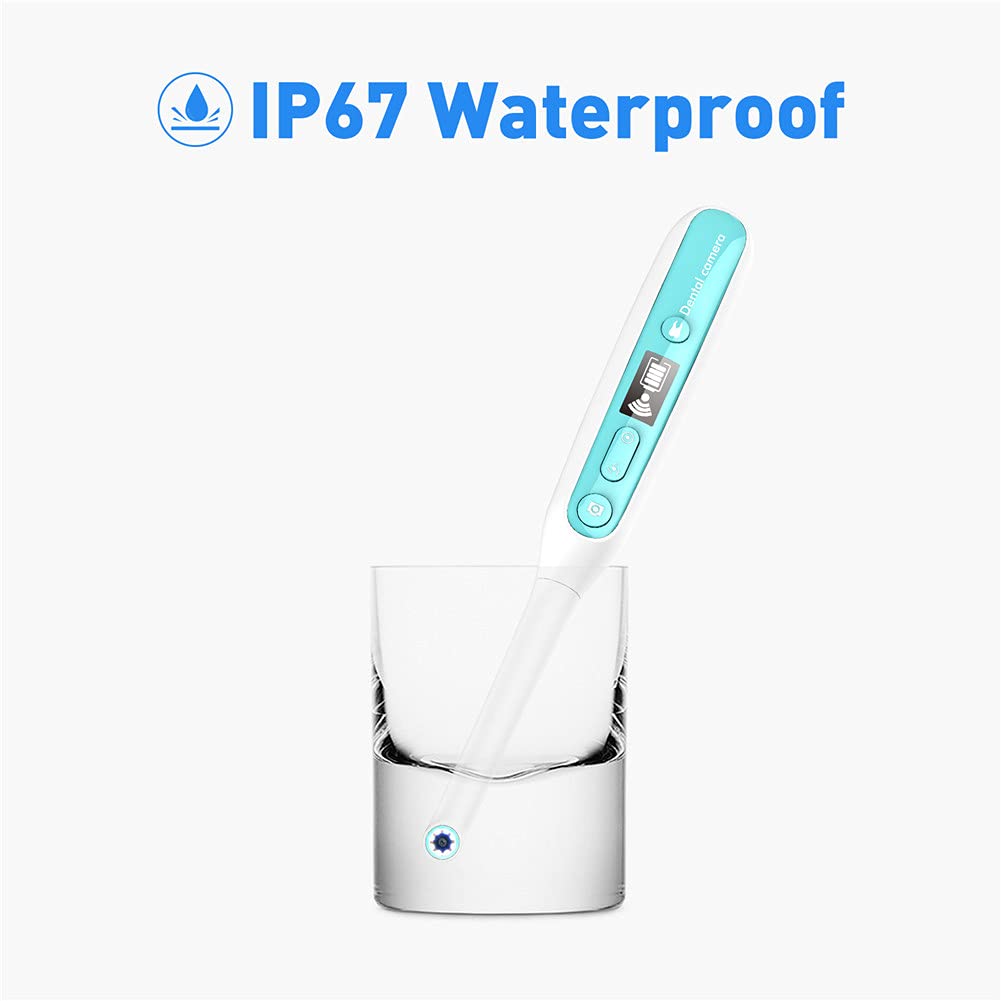 Endoscopio senza fili, endoscopio intraorale con 8 luci a led WiFi wireless telecamera dentale ispezione per dentista orale in tempo reale video strumenti dentali
