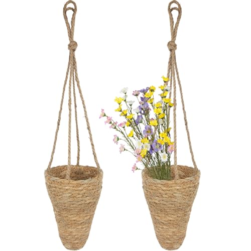 CITYES 2 Pcs Hanging Basket for Wall Conical...