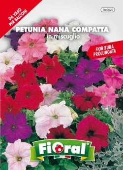 Sementi da fiore di qualità in bustina per uso amatoriale (PETUNIA NANA COMPATTA IN MISCUGLIO)
