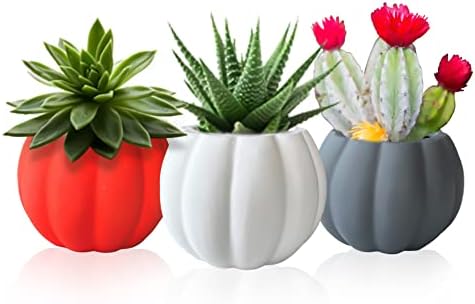 Ceramic Miniature Pumpkin Succulent Pots,Cute Halloween Decoratio...